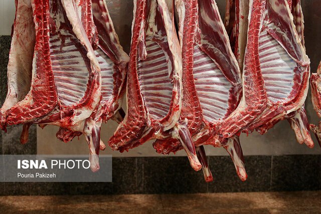 بازار گوشت به ثبات می‌رسدمعاون بازرگانی وزیر جهاد کشاورزی:🔹عرضه