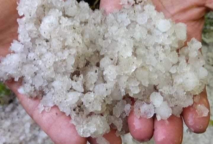 خسارت تگرگ به باغ‌های ۵۰ روستا در مراغه