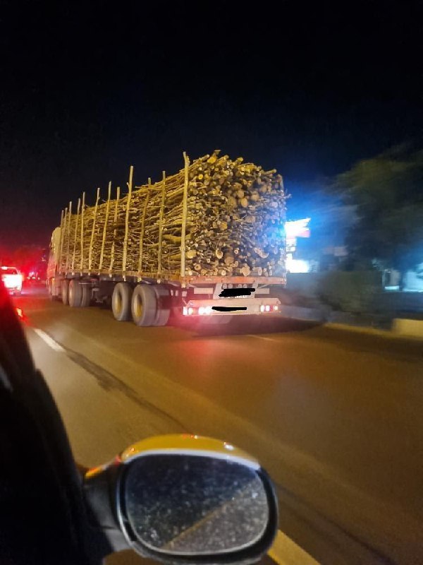 حمل شبانه چوب در اتوبان کسایی تبریز!