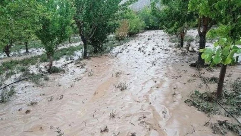 💢خسارت ۳۰۰ میلیارد تومانی سیل و تگرگ به بخش 💢خسارت ۳۰۰ میلیارد تومانی سیل و تگرگ به بخش