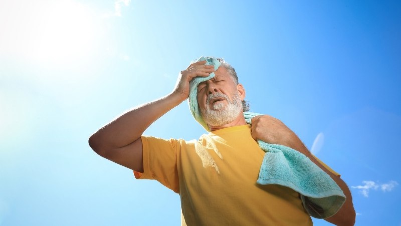 تابستان ۲۰۲۴ گرم‌ترین تابستان تاریخ شدسازمان تغییر اقلیمی اتحادیه