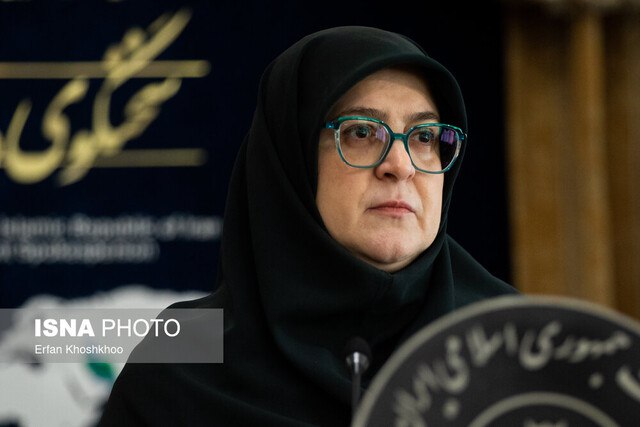 مهاجرانی: افزایش قیمت حامل‌های انرژی در لایحه بودجه نیامده