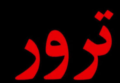 همه چیز درباره ی نحوه ترور شخصیت ها